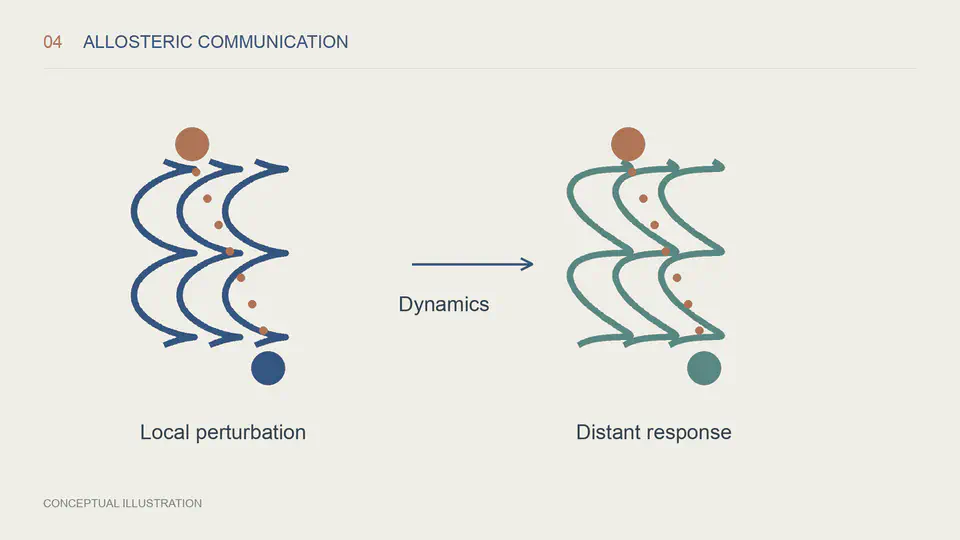 Protein ribbon schematics showing communication between distant sites.