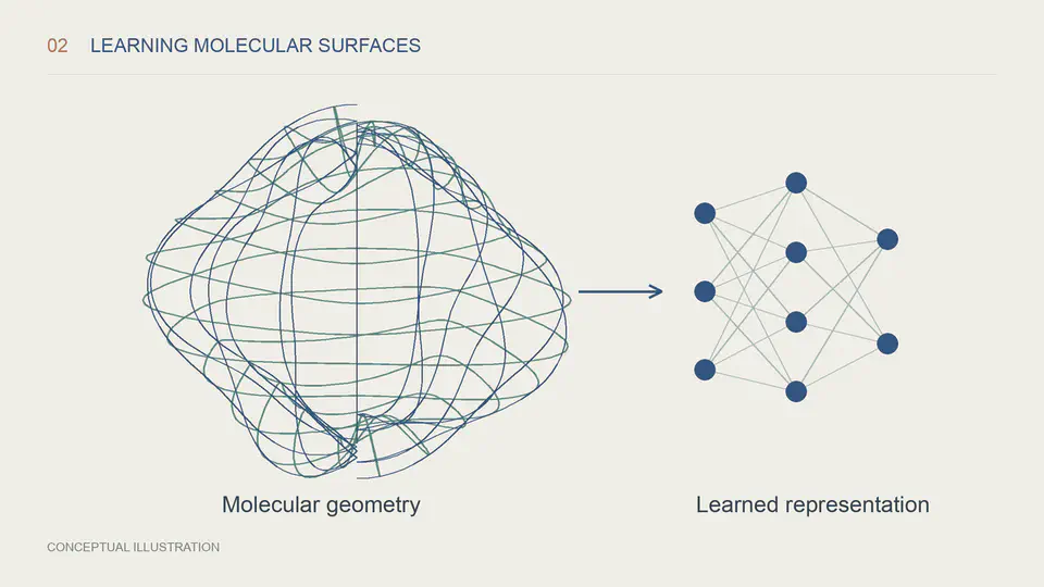 A molecular surface mesh connected to a neural network representation.